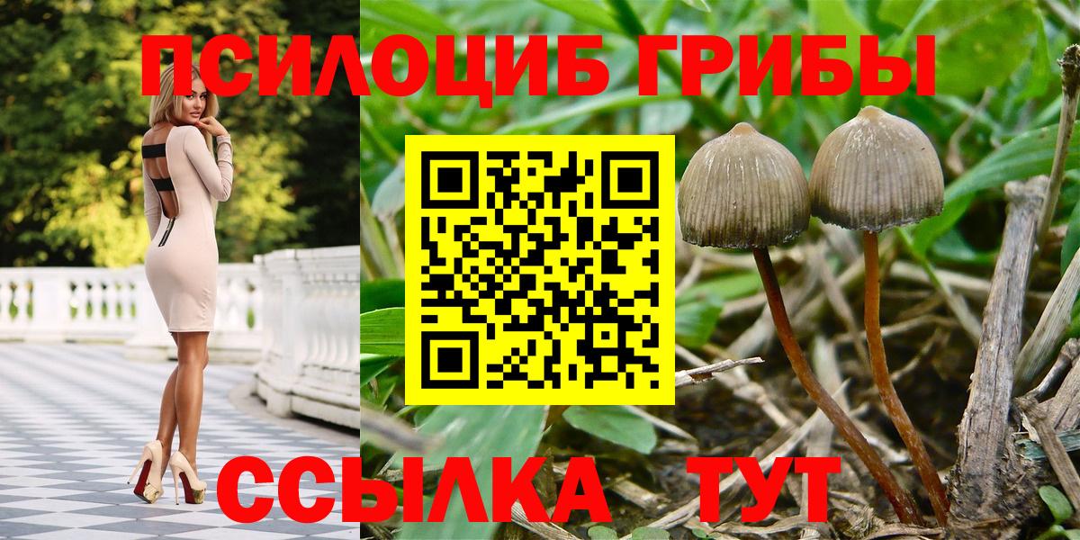 Галлюциногенные грибы MAGIC MUSHROOMS Балашиха